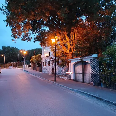 La Bouganville